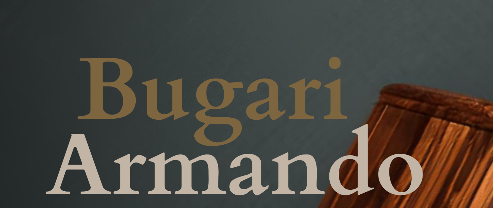 Bugarii Armando akordeony