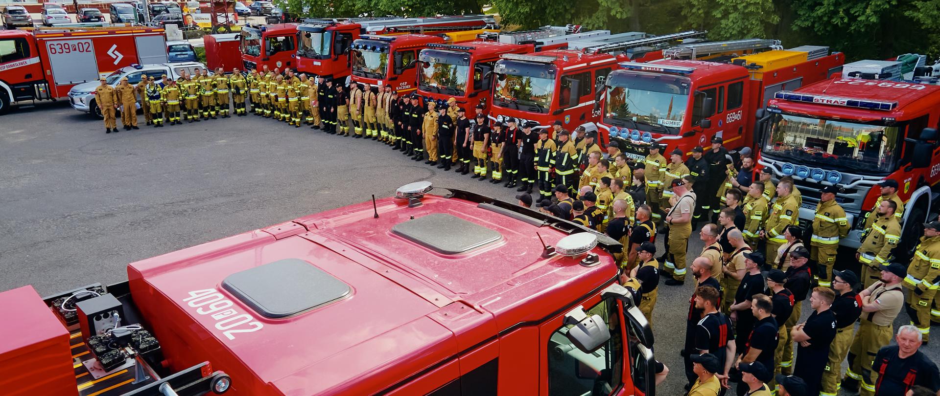 Na zdjęciu widoczni są strażacy w trakcie prowadzenia ćwiczeń z zakresu gaszenia pożaru lasu. 