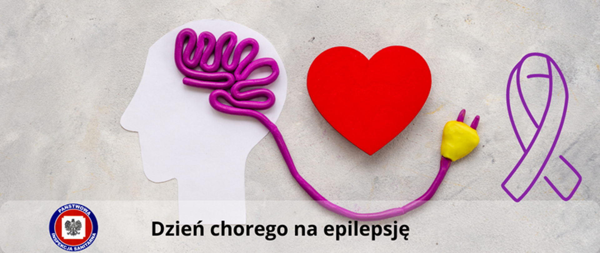 Na szarym tle po lewej lewy zarys głowy, z mózgiem ze sznurka zakończonego wtyczką, na środku czerwone serce, po prawej lawendowa wstążka jako symbol solidarności padaczkowej. Poniżej na przeźroczystym pasku czarny napis Dzień chorego na epilepsję, po jego lewej stronie logo Państwowej Inspekcji Sanitarnej.