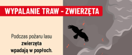 Wypalanie traw - zwierzęta