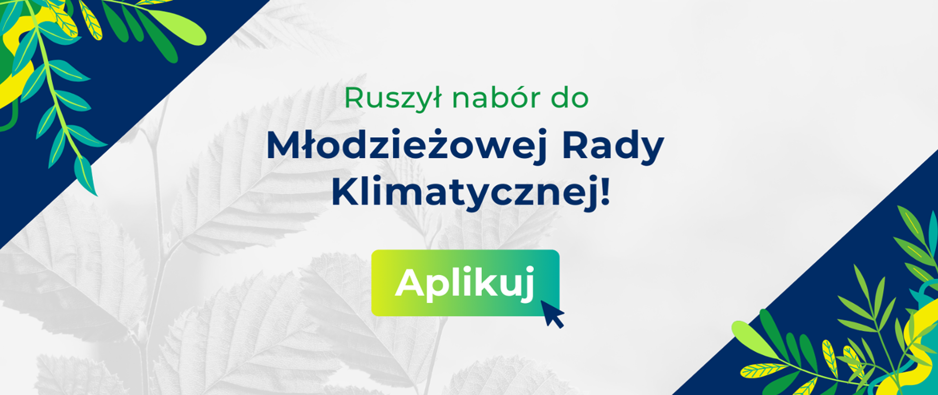 ruszył nabór do Młodzieżowej Rady Klimatycznej