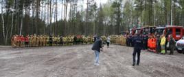 Strażacy oraz służby uczestniczące w ćwiczenia ustawione w szyku na placu w lesie