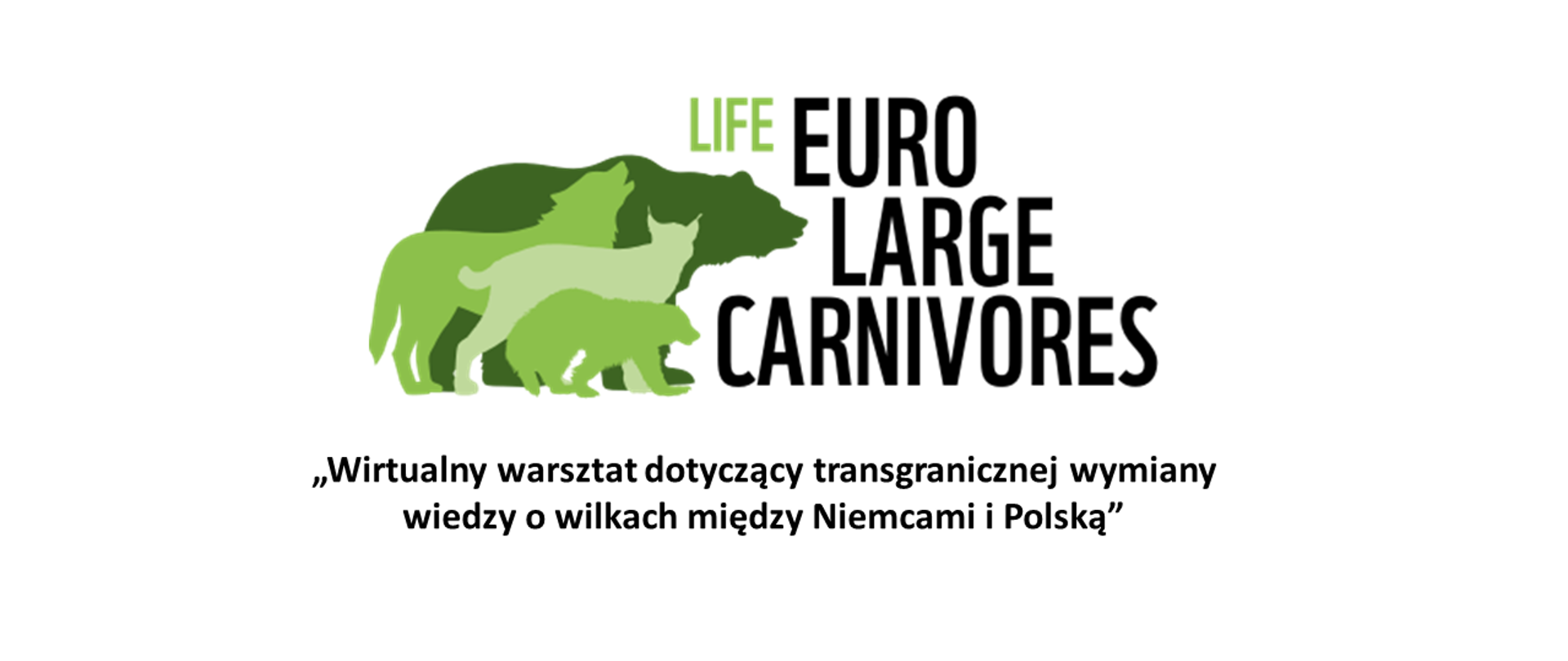 Grafika przedstawiająca zielone kontury niedźwiedzia, wilka, rysia i borsuka nałożone na siebie. Oraz napisy: LIFE EuroLargeCarnivores oraz „Wirtualny warsztat dotyczący transgranicznej wymiany wiedzy o wilkach między Niemcami i Polską”