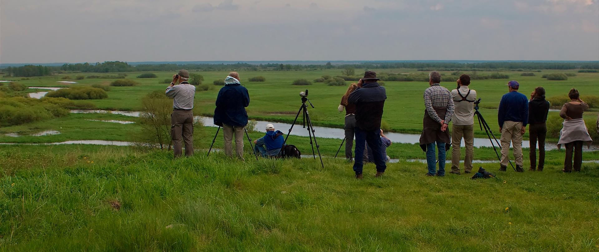 Birdwatching nad Biebrzą