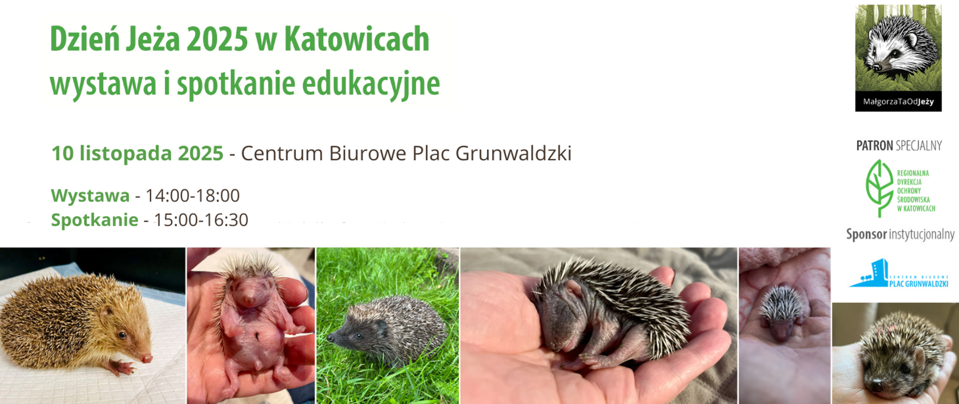 grafika zapraszająca na wydarzenie