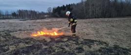Strażak ubrany w ubranie specjalne gasi pożar trawy za pomocą podręcznego sprzętu gaśniczego (tłumicy).
