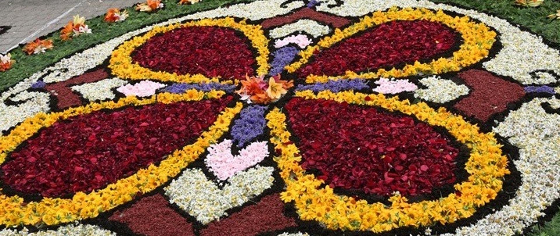 La tradición de arreglar alfombras de flores para las procesiones de Corpus Christi en Spycimierz tiene más de doscientos años. 