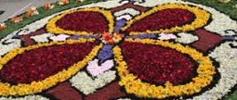 La tradición de arreglar alfombras de flores para las procesiones de Corpus Christi en Spycimierz tiene más de doscientos años. 
