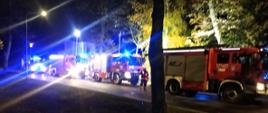 Zdjęcie przedstawia samochody pożarnicze na światłach błyskowych oświetlające teren pożaru