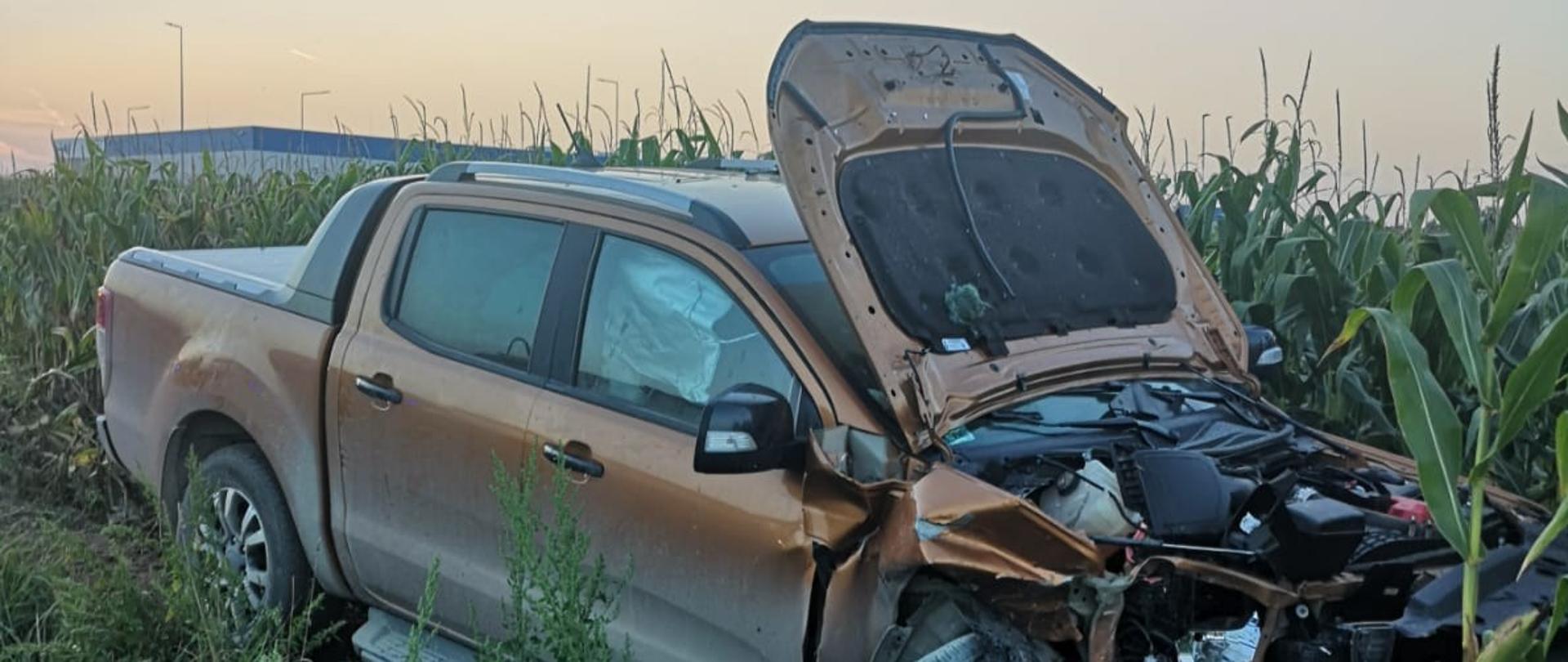 Na zdjęciu znajduje się rozbity samochód osobowy, który stoi w polu z kukurydzą