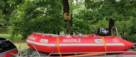 Dzień. Na pierwszym planie ponton w kolorze czerwonym. /na boku biały napis STRAŻ oraz numer operacyjny 602DŁ2. Z tyłu pontonu zamontowany silnik zaburtowy. Ponton przymocowany żółtymi pasami do łódki. W tle ściana lasu.