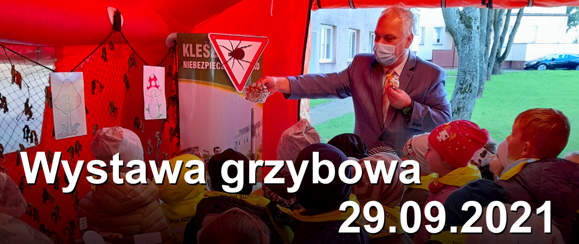 Relacja z wystawy grzybowej.