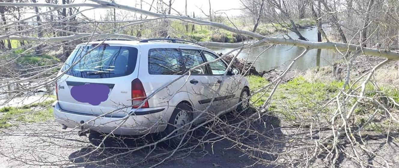 Drzewo przewróciło się na samochód Komenda Powiatowa