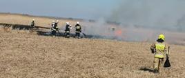 Pożar trawy w powiecie pińczowskim.