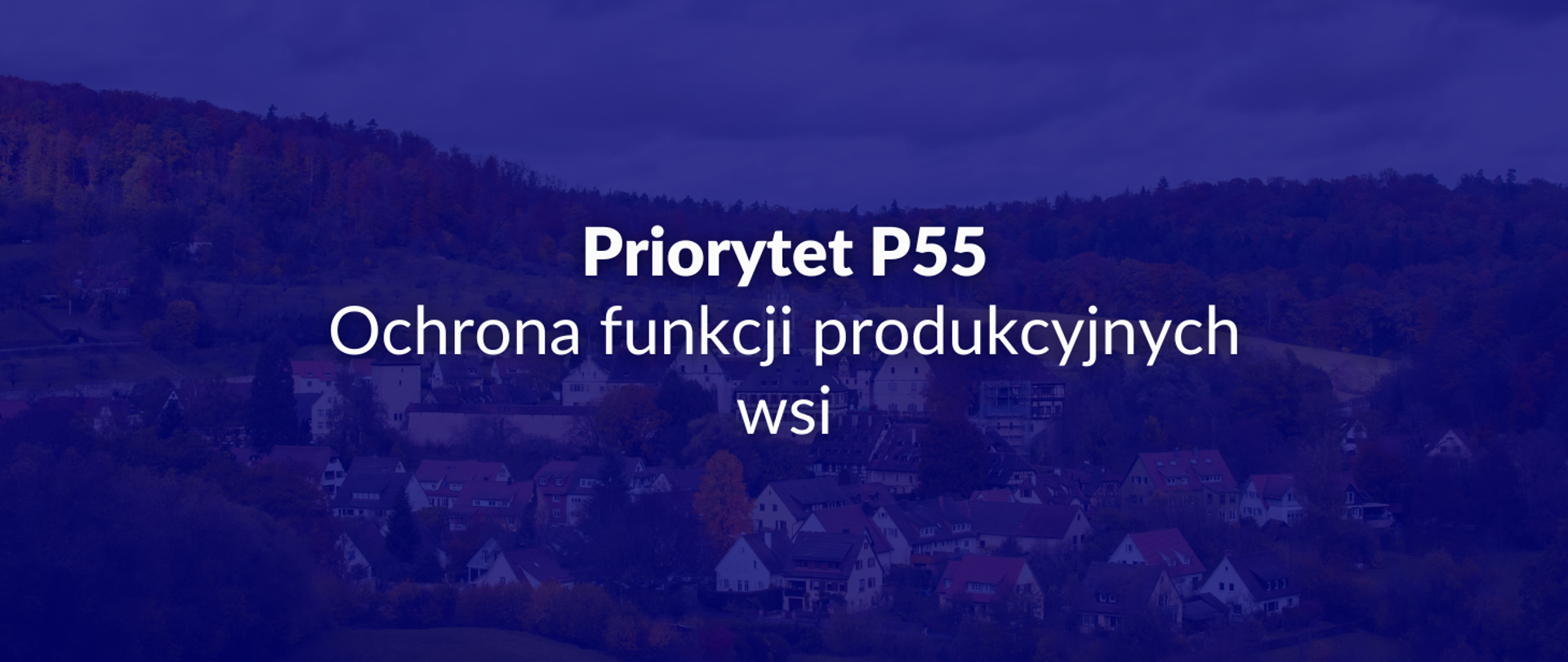 Priorytet P55