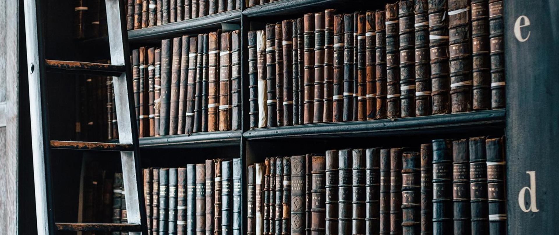 Grafika przedstawiająca regał z książkami.