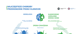 Najczęstsze choroby przenoszone przez kleszcze zagrażające zdrowiu człowieka to borelioza i kleszczowe zapalenie mózgu (KZM).
Borelioza jest chorobą bakteryjną wywołaną przez krętki boreliozy, która zakażamy się przez ukąszenie kleszcza. Ryzyko zakażenia zwiększa się wraz z czasem żerowania pajęczaka w skórze (po 72h h osiąga 100%). Choroba przebiega w dwóch stadiach. W pierwszym stadium choroby u 60% chorych pojawia się rumień wędrujący – niebolesna zmiana skórna tworząca czerwoną lub sinoczerwoną plamę o średnicy od 5 cm. Mogą wystąpić objawy grypopodobne: gorączka, ból głowy, bóle mięśni i stawów, zmęczenie, pogorszenie koncentracji. W drugim stadium choroby występują określone objawy kliniczne w zależności od układu, który został zainfekowany: objawy neurologiczne, objawy ze strony narządu ruchu, objawy ze strony układu krążenia, zanikowe zapalenia skóry (ACA). Przeciwko boreliozie nie ma szczepionki. Stosowanie repelentów zmniejsza ryzyko ukąszenia. Leczenie boreliozy polega na przyjmowaniu antybiotyków, a przechorowanie nie daje trwałej odporności i nie chroni przed ponownym zakażeniem.
Drugą groźną dla ludzi chorobą przenoszoną przez kleszcze jest kleszczowe zapalenie mózgu (KZM). Jest to choroba wirusowa wywołana przez wirusa kleszczowego zapalenia mózgu. Do zakażenia może dojść poprzez ukąszenie kleszcza, jaki i drogą pokarmową przez spożywając świeżego mleka i jego przetworów masła, sera pochodzących od zakażonego zwierzęcia. Choroba również przebiega w dwóch stadiach. W pierwszym stadium występują objawy grypopodobne: gorączka, ból głowy, bóle mięśni i stawów, zmęczenie, pogorszenie koncentracji a w drugim objawy neurologiczne związane z zapaleniem opon mózgowych
i mózgu: wysoka gorączka, nudności, narastający ból głowy, sztywność karku, zaburzenia świadomości, porażenia nerwów i mięśni, zaburzenia koordynacji. Najskuteczniejszym sposobem zapobiegania zakażeniu KZM jest szczepienie ochronne. Nie ma specyficznych leków na kleszczowe zapalenie mózgu, leczy się tylko objawy a jego przechorowanie daje trwałą odporność organizmu na ponowne zakażenie.
