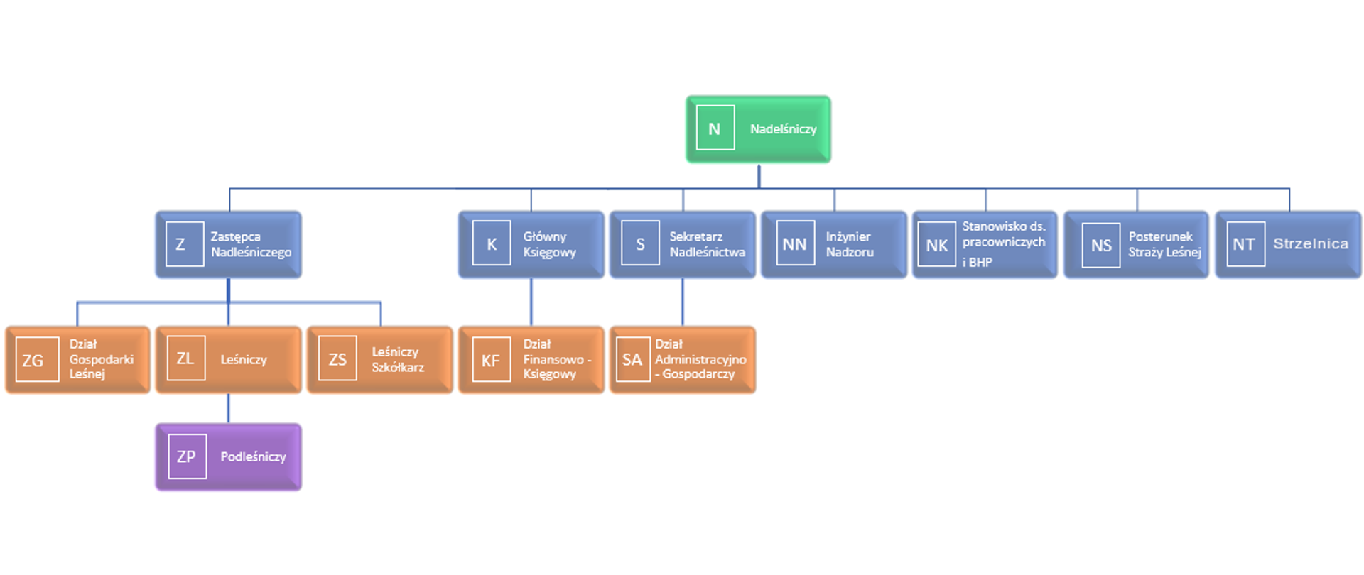 Schemat organizacyjny w Nadleśnictwie Lipka