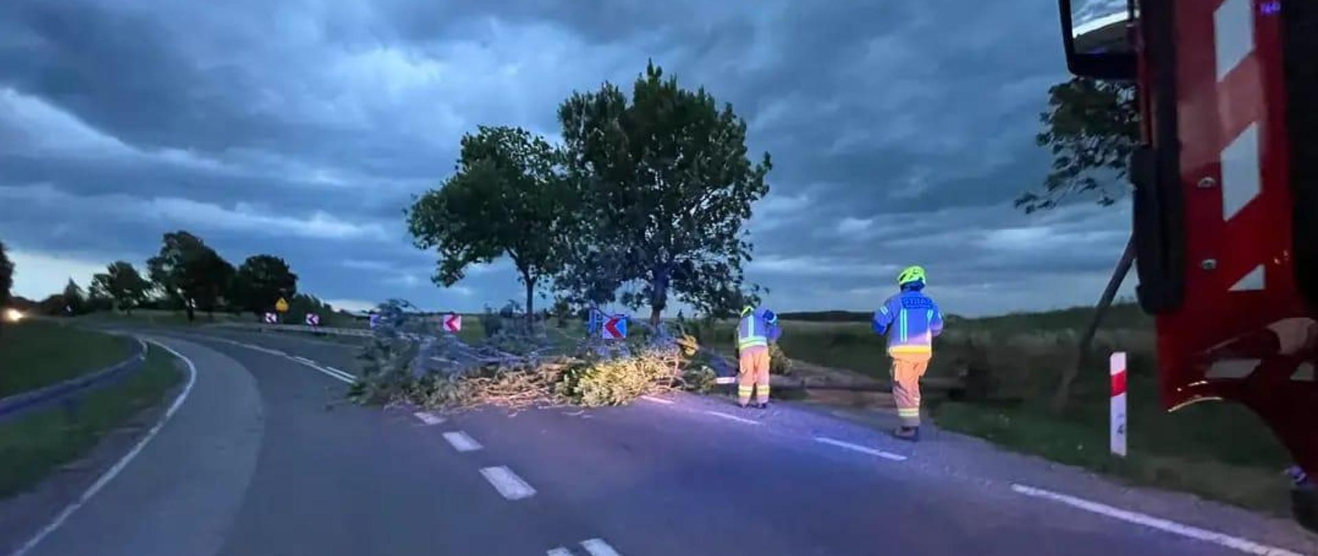 Podsumowanie interwencji strażaków podczas usuwania skutków silnych wiatrów i burz