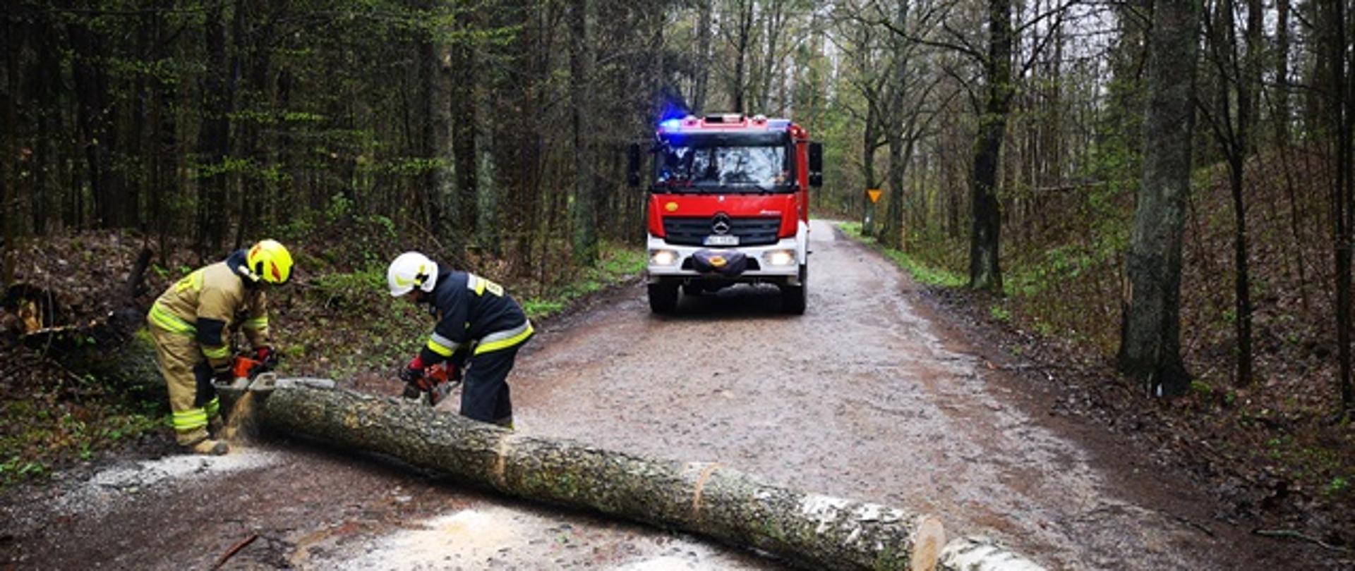 Usunięcie powalonych drzew