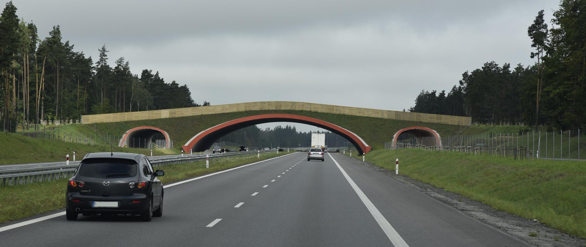 Dwujezdniowa droga ekspresowa. W obu kierunkach poruszają się samochody. Nad drogą górne przejście dla dużych zwierząt.