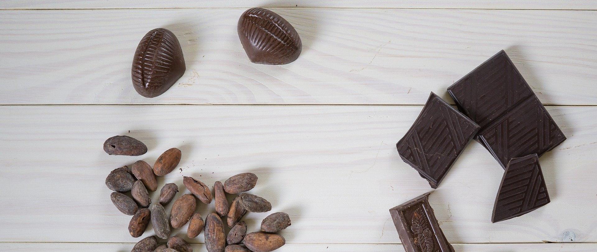 Na zdjęciu znajdują się dwie czekoladki, kilka połamanych kawałków czekolady oraz ziarna kakaowca.