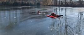 Ćwiczenia z ratownictwa lodowego - strażacy ćwiczą