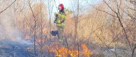 Zdjęcie przedstawia strażaka PSP podczas pożaru suchej strawy