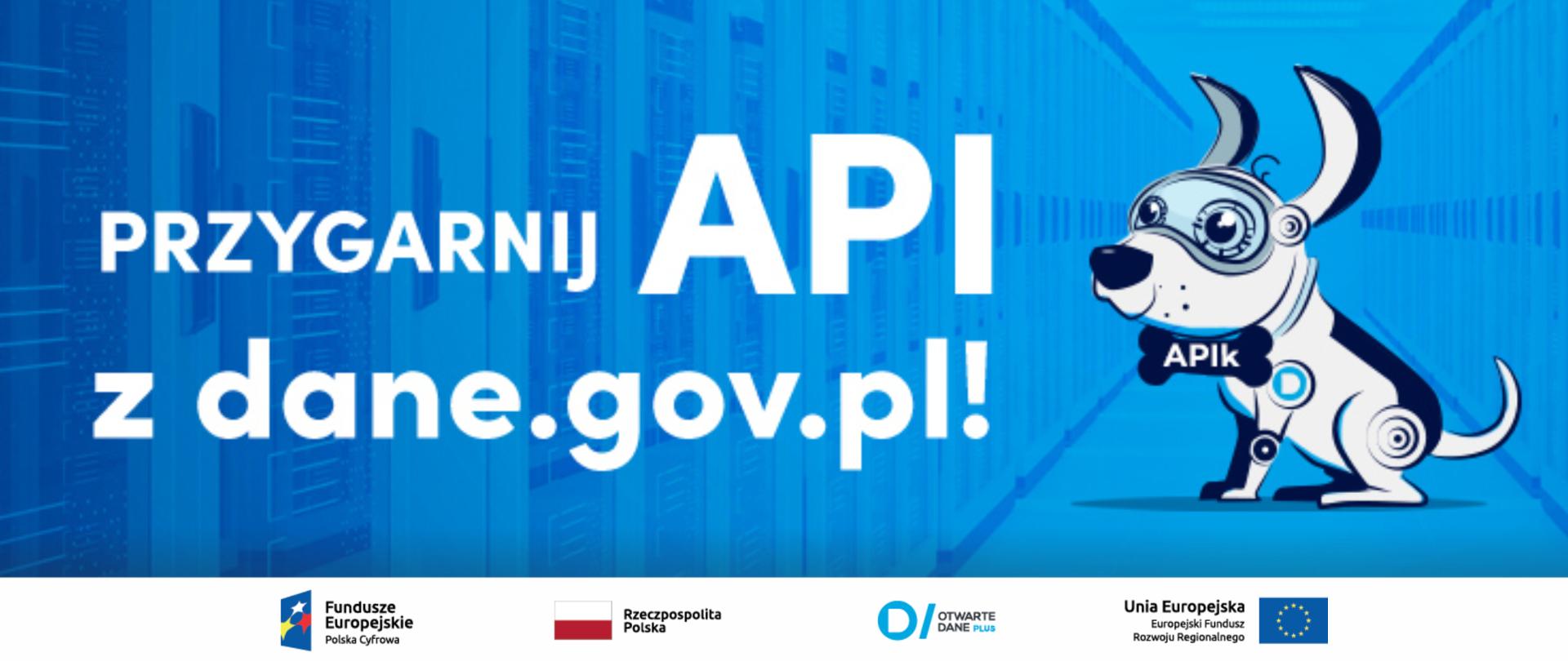 Przygarnij API z dane.gov.pl