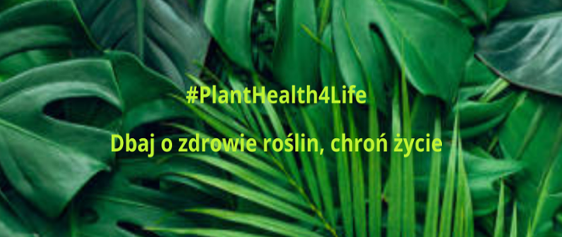 Kampania EFSA #PlantHealth4Life