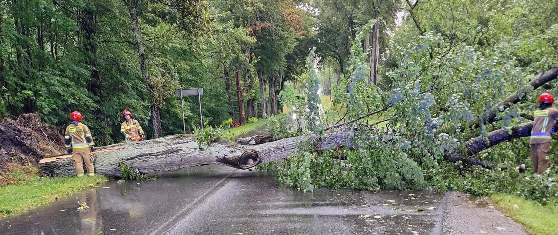 Duże drzewo leży powalone w poprzek drogi, obok stoją strażacy w mundurach.