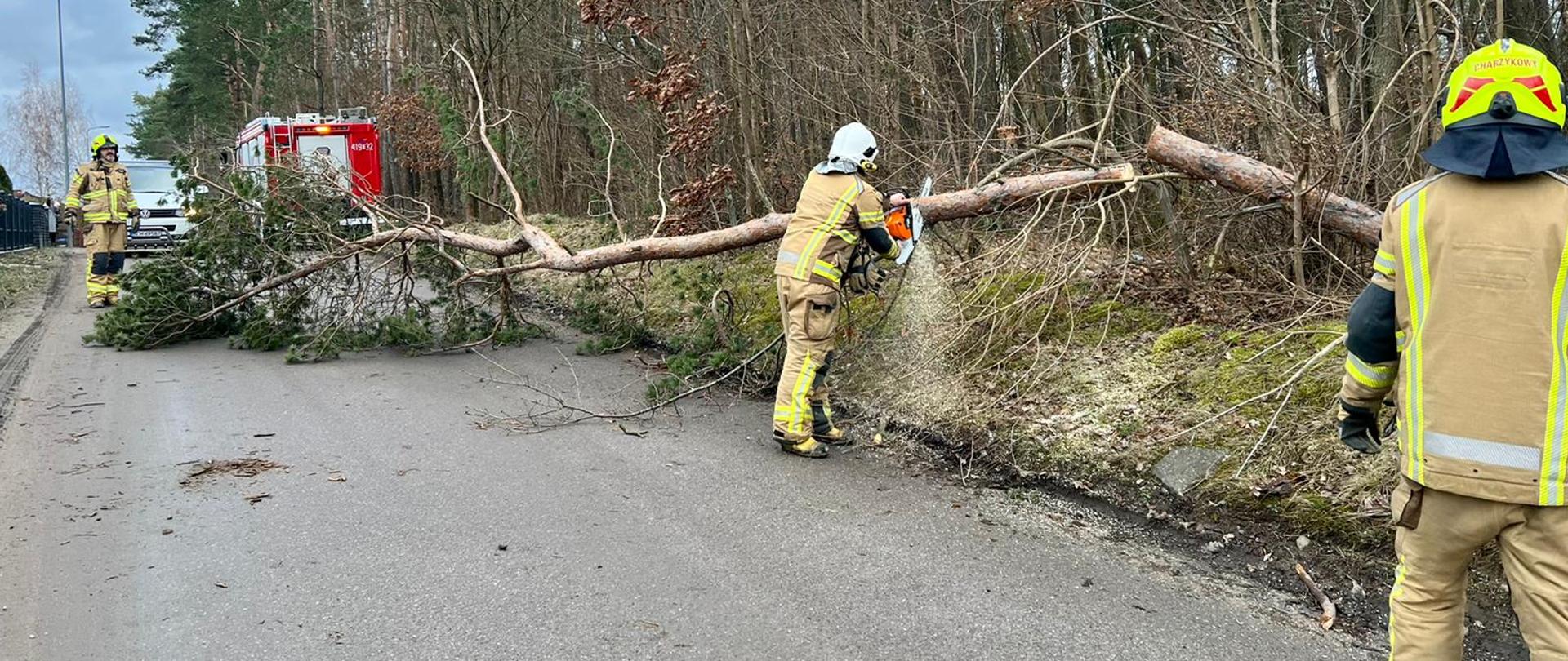 Powalone drzewo na drodze. Strażacy pilarkami tną drzewo. W tle wozy strażackie.