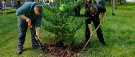 Dwóch mężczyzn kopie ziemię wokół podstawy dużego drzewa iglastego w zielonym, trawiastym terenie. Mężczyzna po lewej stronie ubrany jest w niebieską bluzę i ciemne spodnie, a w rękach trzyma łopatę. Mężczyzna po prawej stronie ma na sobie czarną koszulkę i ciemne spodnie, również posługując się łopatą. Na drzewie iglastym jest zielona maskotka z czerwonymi oczami, która obserwuje prace mężczyzn. Za drzewem widać dwie inne osoby, w tym jedną w czerwonej bluzie. W tle znajduję się budynek z cegły oraz wiele innych drzew liściastych, jak i iglastych.