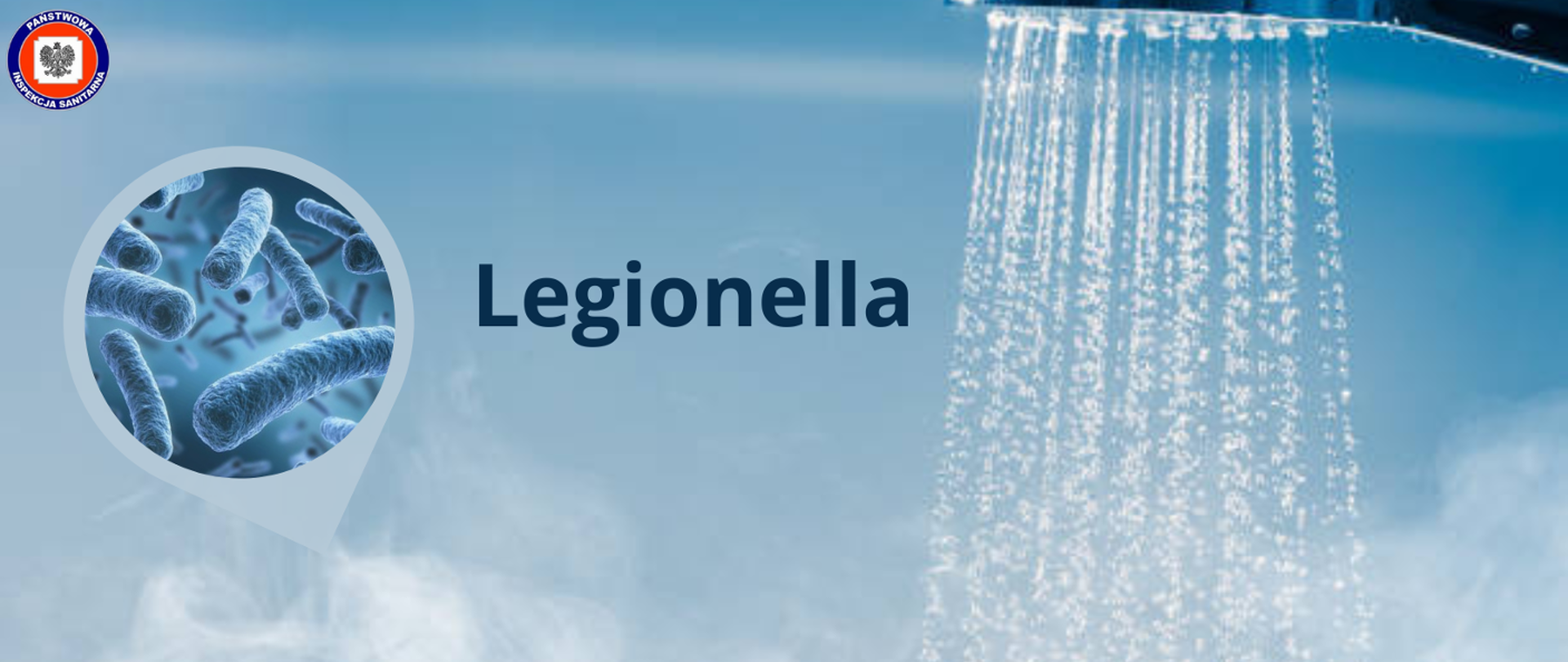 zdjęcie przedstawia rozpyloną wodę z prysznica oraz pałeczki bakterii w kołowej grafice koło napisu legionella