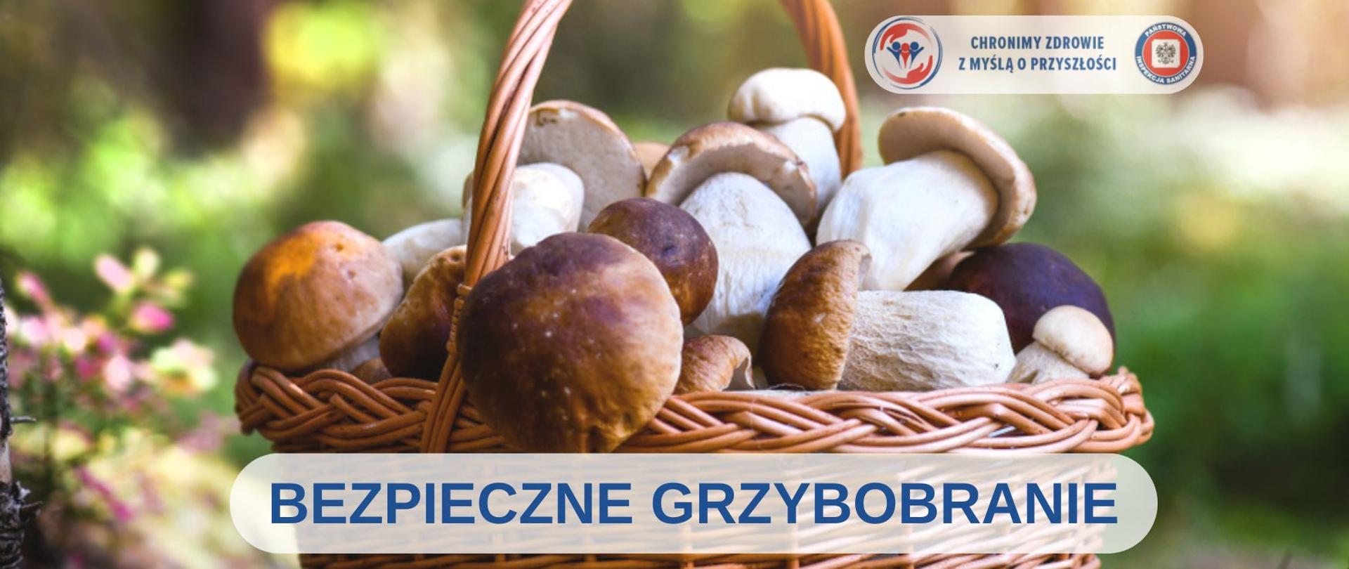 bezpieczne grzybobranie 