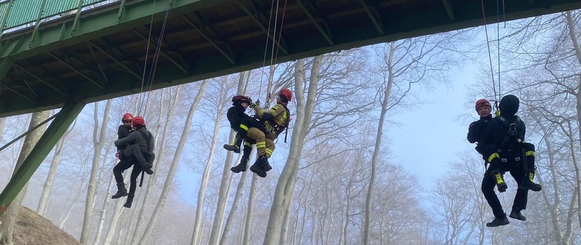 Ratownictwo wysokościowe