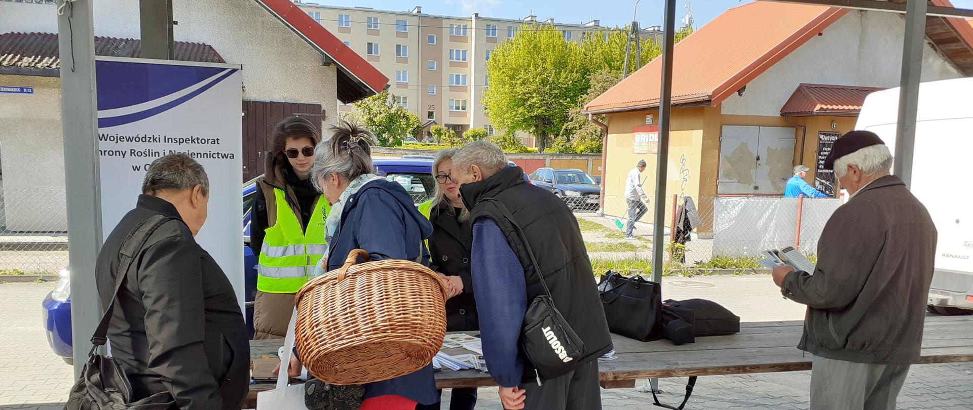 Plenerowe stanowisko informacyjne ustawione pod wiatą targowiska na brukowanym placu. Po lewej stronie widoczny baner informacyjny z nazwą instytucji. Za stołem stoją dwie kobiety w żółtych kamizelkach odblaskowych rozmawiające z grupą starszych ludzi. Na stole rozłożone są broszury, ulotki i inne materiały edukacyjne. Jedna z kobiet trzyma wiklinowy kosz oraz torbę z logiem Inspekcji. Po prawej stronie starszy mężczyzna czyta ulotkę, nie uczestnicząc bezpośrednio przy rozmowie przy stole