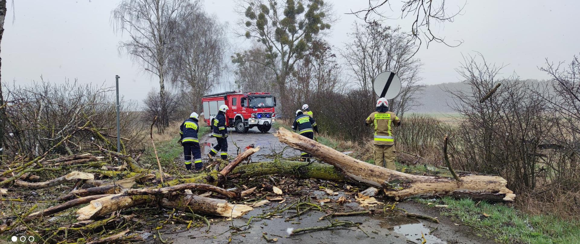 Na zdjęciu znajduje się powalone drzewo, które blokuje drzewo. W oddali znajdują się strażacy, którzy je tną oraz sprzątają jezdnie. W oddali na drodze znajduje sie wóz strażacki, a dookoła drogi znajdują się drzewa. 