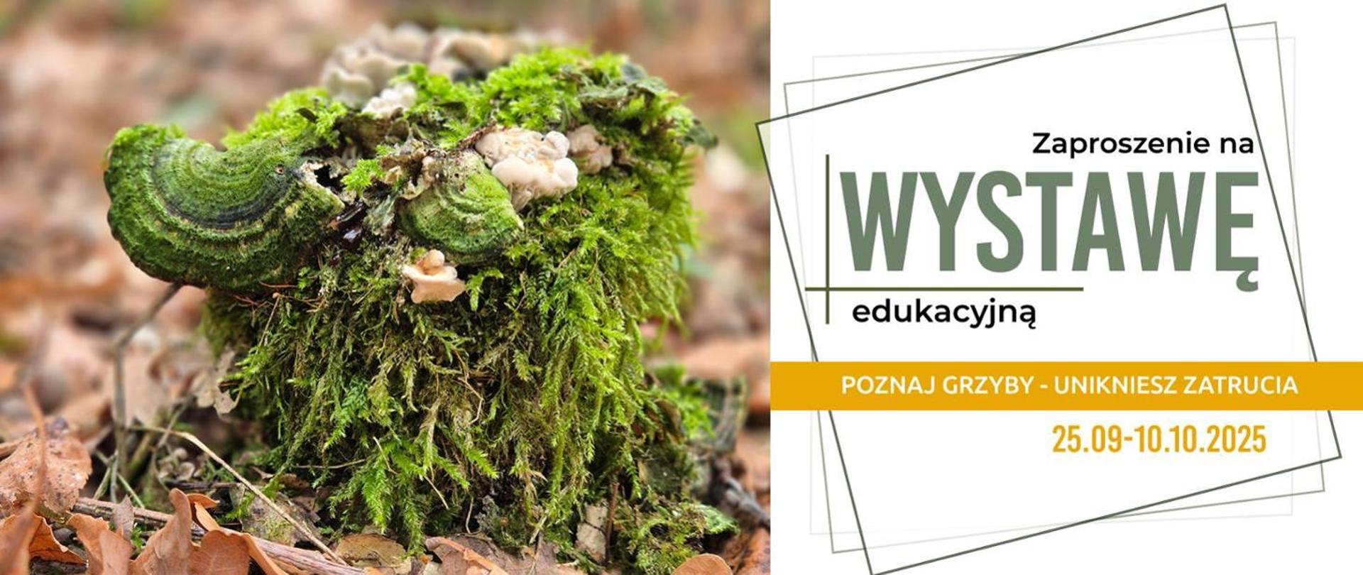 wystawa edukacyjna