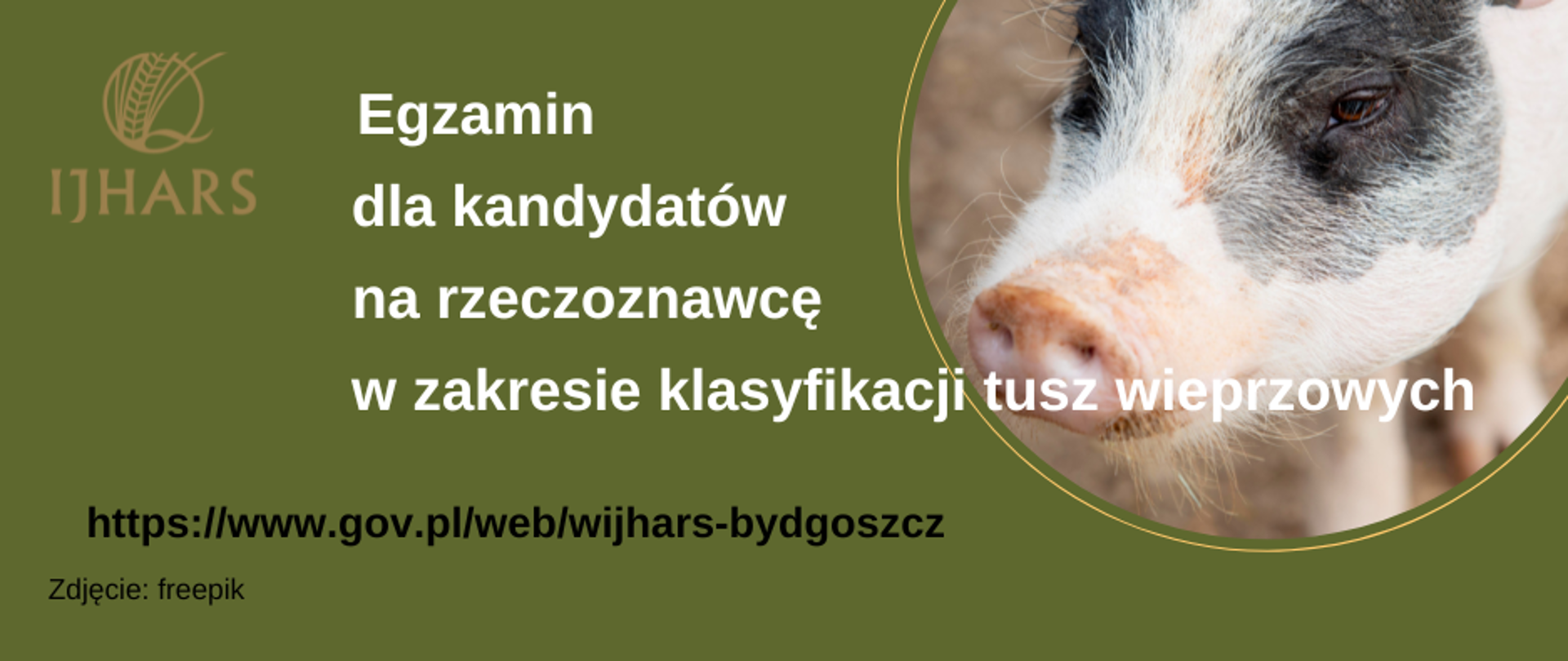 Baner Klasyfikacja tusz wieprzowych egzamin