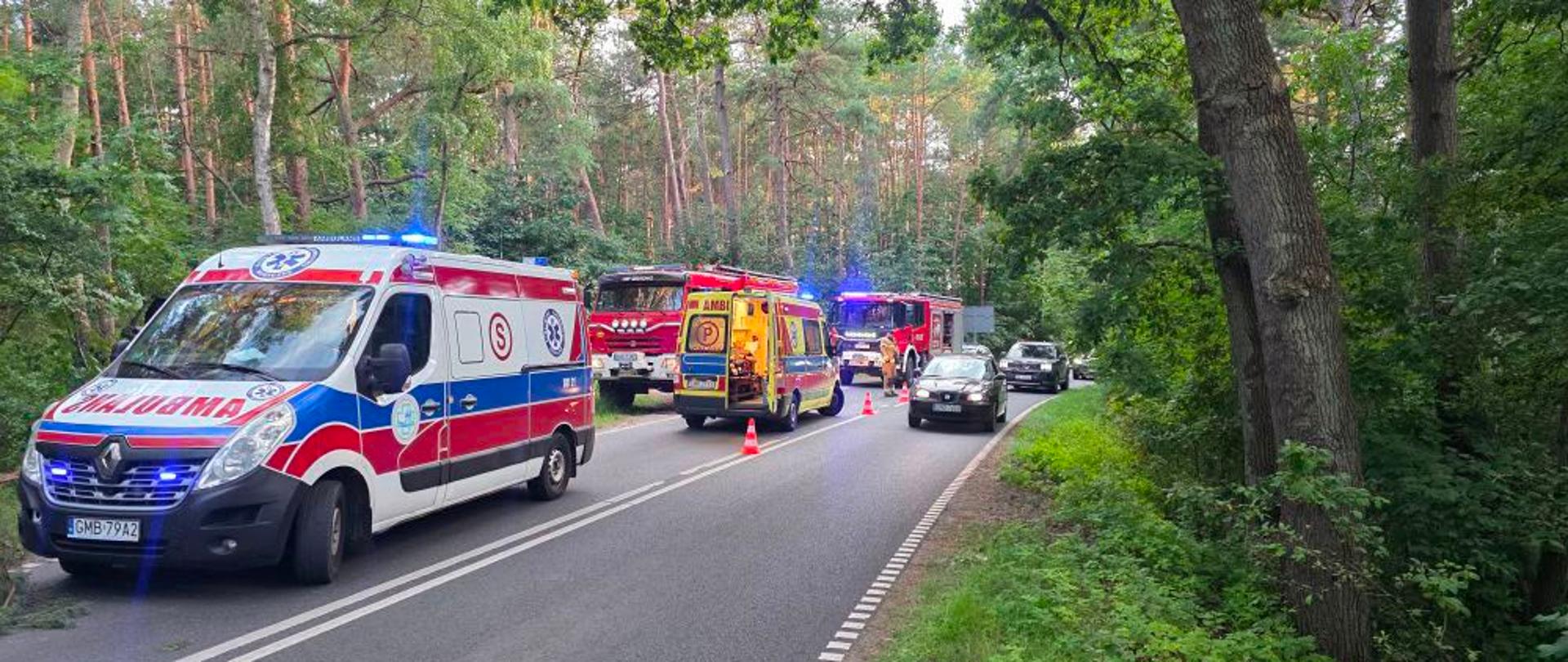 Wypadek Sztutowo