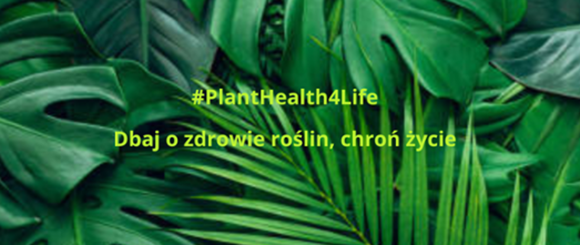 planhealth4life