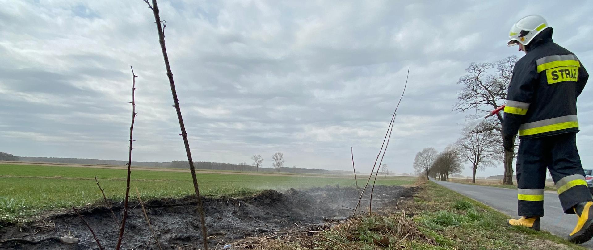 Strażak podczas gaszenia pasa suchej trawy, strażak stoi tyłem gasząc prądem wody
