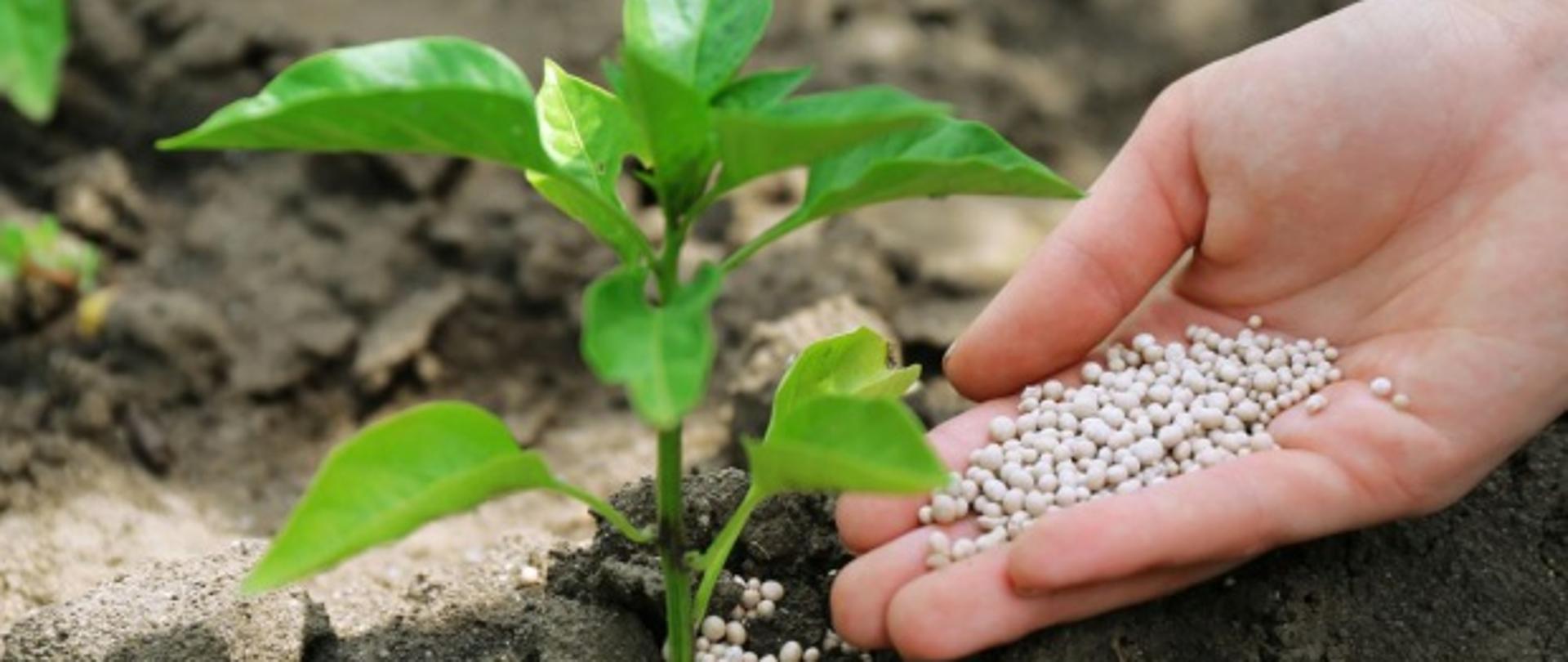 Racjonalna gospodarka nawozami