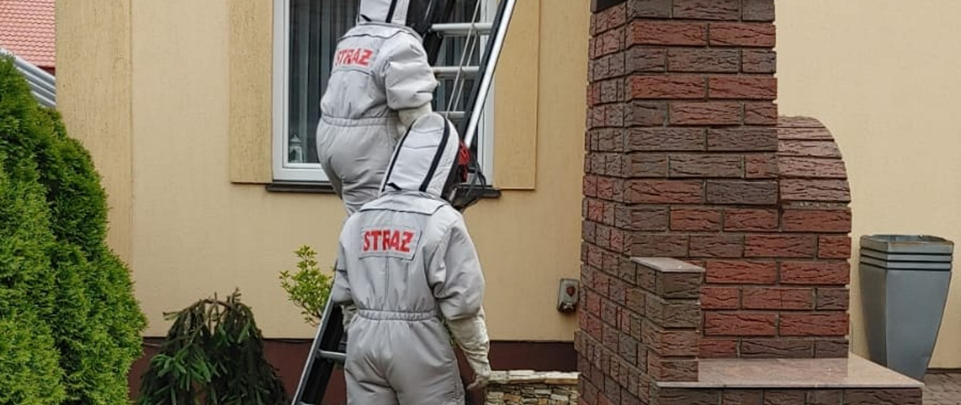 Na zdjęciu widać dwóch strażaków w szarych kombinezonach na owady błonkoskrzydłe z czerwonymi napisami straż. Przed nimi, oparta o elewację żółtego budynku znajduje się czarna drabina. Obok drabiny drewniana rojnica na owady. Wokół zieleń, krzewy oraz murowany z cegły klinkierowej grill. Strażacy stoją na kostce brukowej. Dach budynku ma kolor czerwony.