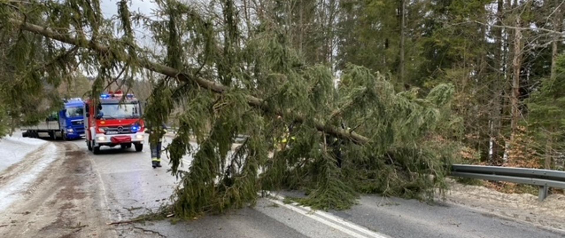 Powalone drzewo na drogę tarasujące przejazd. Za drzewem stoi samochód pożarniczy.