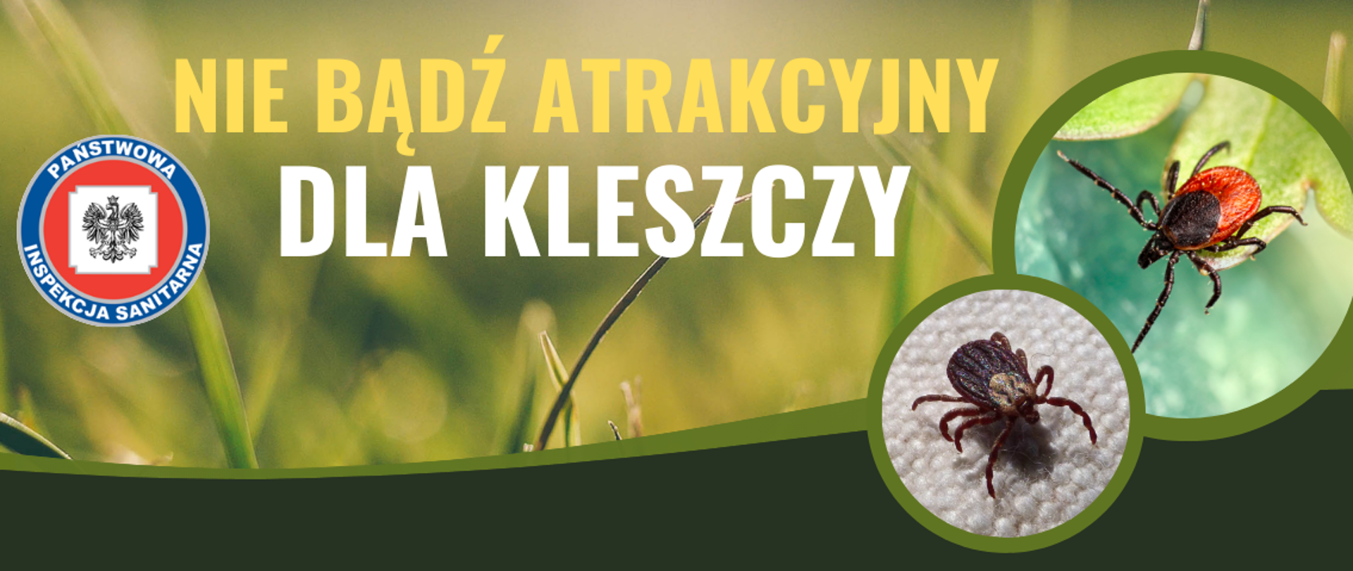 Grafika przedstawia zdjęcia kleszczy na zielonym tle, logo Państwowej Inspekcji Sanitarnej oraz napis Nie bądź atrakcyjny dla kleszczy.