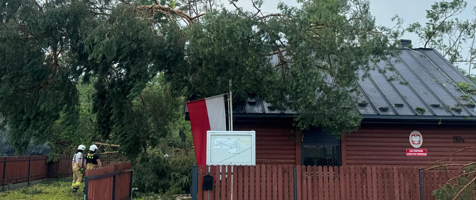 Fotografia przedstawia leśniczówkę w Trzemosnej i przewrócone na nią trzy sosny.