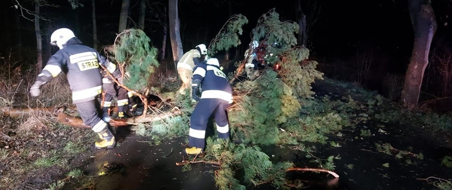 Strażacy usuwają drzewo iglaste z jezdni, w celu udrożnienia ruchu.