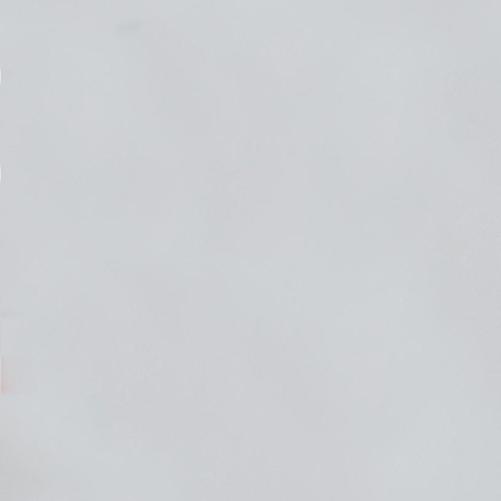 Szare tło bez żadnych obrazów